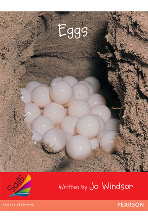 Sails - Early Level 1, Set 2 (Red): Eggs (Reading Level 3 / F&P Level C)