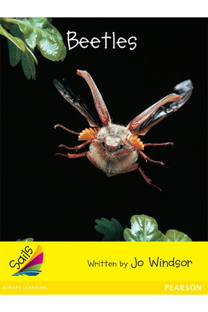 Sails - Early Level 2, Set 2 (Yellow): Beetles (Reading Level 7 / F&P Level E)