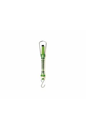 Scales - Push and Pull Spring (500g Green)
