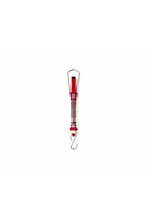 Scales - Push and Pull Spring (2kg Red)