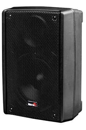 Biema 200mm 8 Inch 200W Two Way PA Speaker