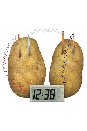 Potato Clock Science Experiment Kit