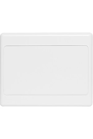 Altronics Blank Double Width Wallplate