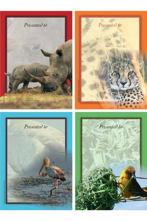African Safari Bookplates - Large Bookplates