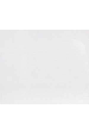 Canvas Board - 10" x 12"