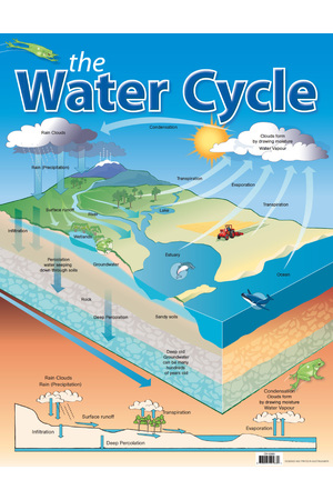 The Water Cycle Chart (Previous Design)