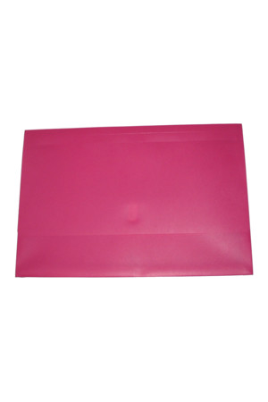 Colby Polywally File (Foolscap) 328F: Mulberry