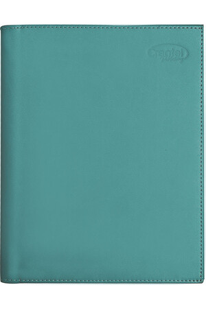 Level Coordinator's Planner 2026 (Weekly) - Wiro Bound