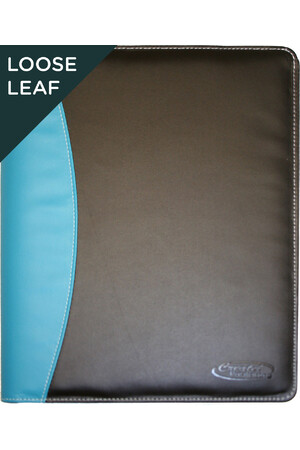 Management Planner 2020 (Daily) - Loose Leaf in Binder