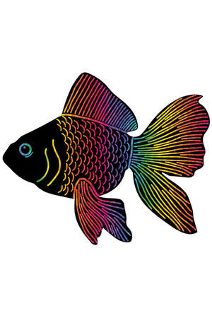 Scratch Fish (Pack of 24)