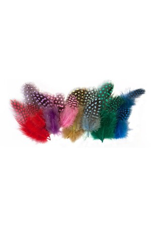 Guinea Fowl Feathers - Assorted (10g)