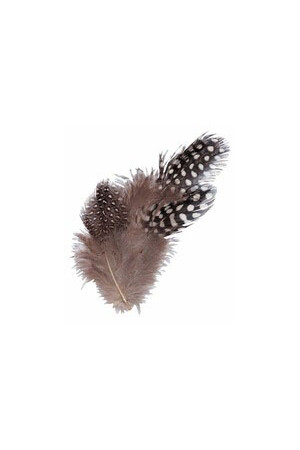 Guinea Fowl Feathers - Natural (10g)