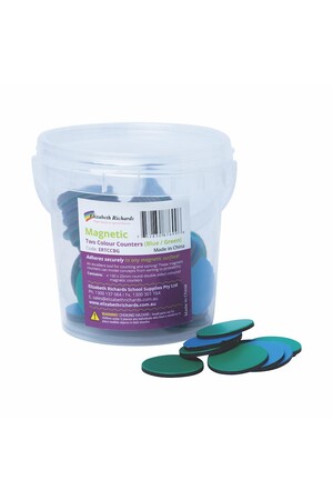 Magnetic Two Colour Counters - Blue/Green