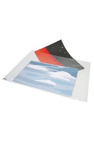Clear Plastic Folio Bag