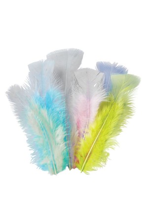 Feathers - Pastel (10g)