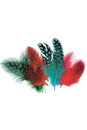 Feathers - Guinea Fowl: Assorted Colours (10g)