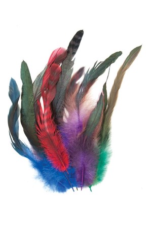 Feathers - Cocktail (Pack of 18)