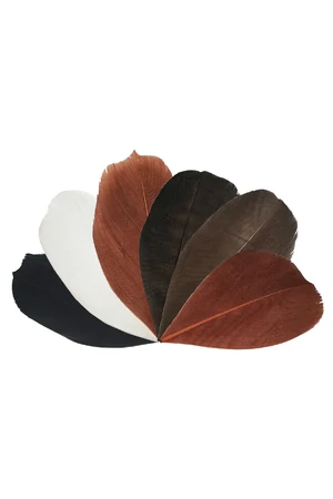 Trimmed Feathers Natural 20g
