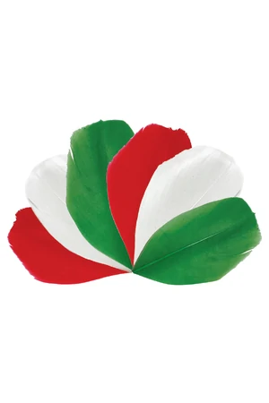Trimmed Feathers Christmas Mix 30g