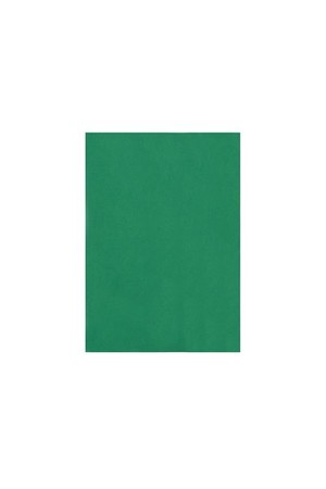 Quill Paper 80gsm (A4) - Pack of 100: Emerald
