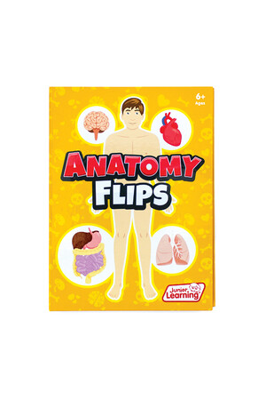 Anatomy Flips