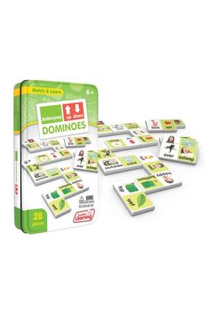 Synonyms Dominoes