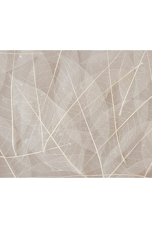 Skeleton Leaves - Natural (Pack of 100)