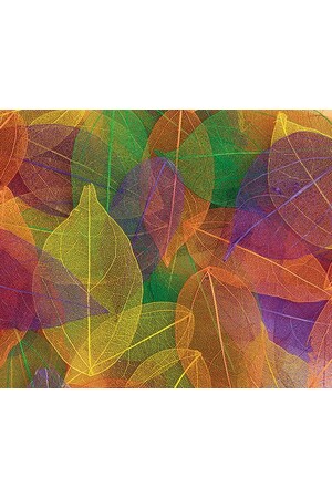 Skeleton Leaves - Coloured Small (Pack of 100)