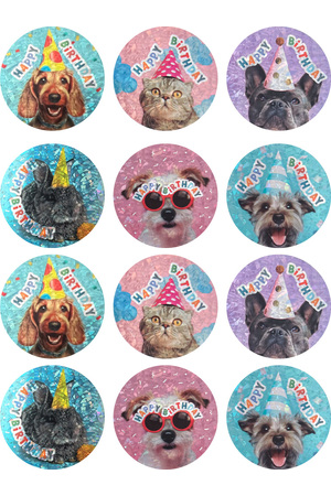 Happy Birthday (Pets) - Foil Photo Merit Stickers (Pack of 48)