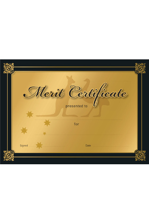 Gold Merit Certificate - Pack of 20 Cards (Previous Design)