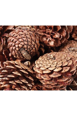 Pine Cones (200g)