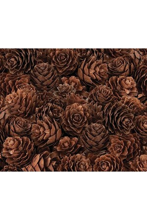 Pine Cones - Mini (190g)