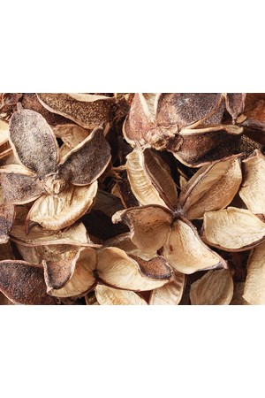 Dried Seedless - Cotton Pods (50g)