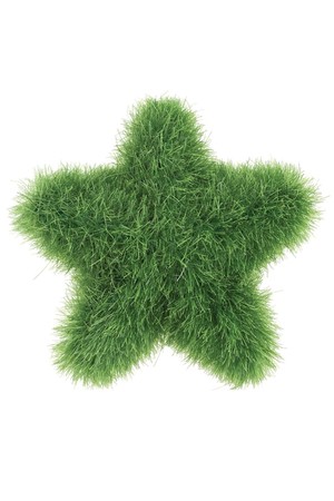 Textured Poly Stars - Hairy (Pack of 5)