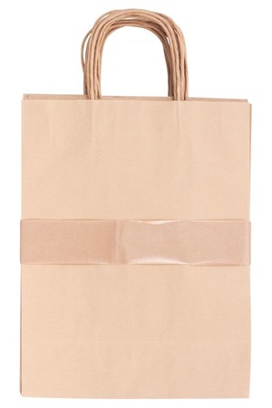 Paper Bags with Handle - Medium (Pack of 10)