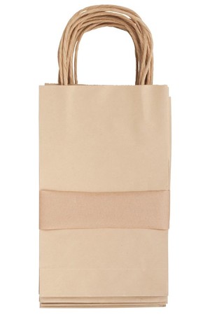 Paper Bags with Handle - Small (Pack of 10)