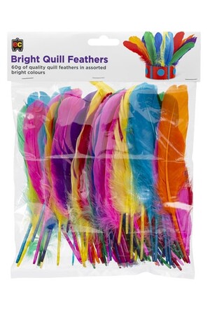 Quill Feathers (60g) - Brights