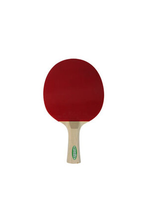 NYDA Reverse Pimple Table Tennis Bat