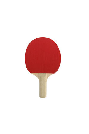 NYDA Pimpled Table Tennis Bat