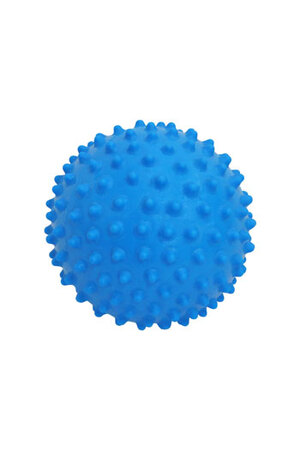 NYDA Echidna Ball Large 15cm (Blue)