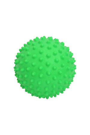 NYDA Echidna Ball Large 15cm (Green)