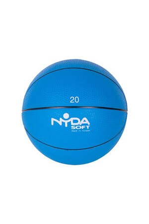 NYDA 20cm Heavy Duty Playball (Blue)