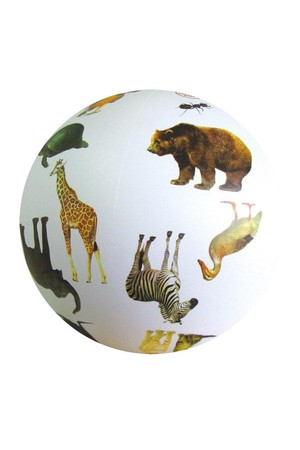 Animal Ball – Phase 1 (Letters and Sounds)