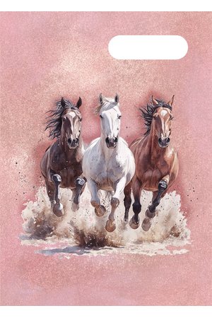 A4 Book Cover - Wild Horses