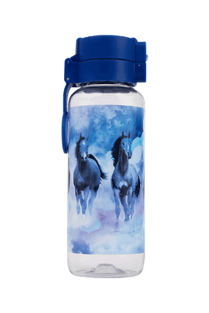 Big Water Bottle - 650ml - Sky Dancer