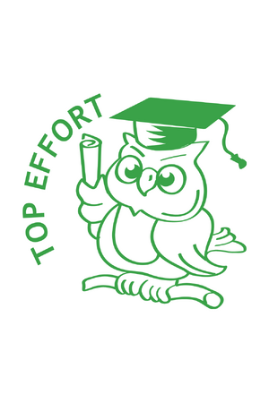 Top Effort Owl Merit Stamp (Previous Design)