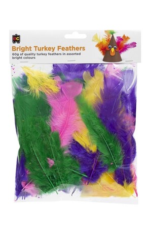 Turkey Feathers (60g) - Brights