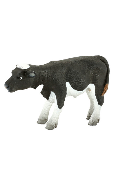Friesian Calf (Small)