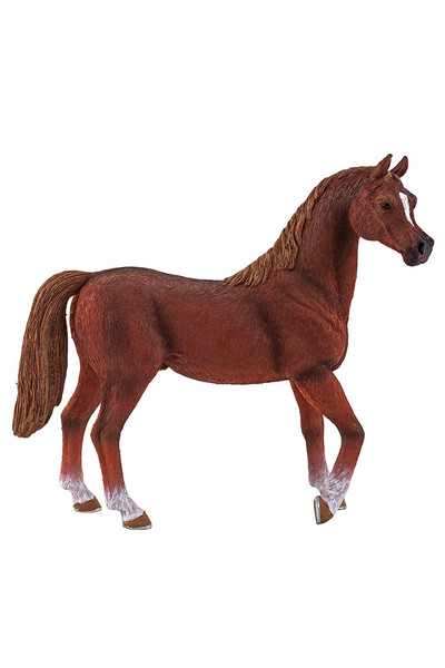 Arabian Stallion Chestnut (Extra Large)
