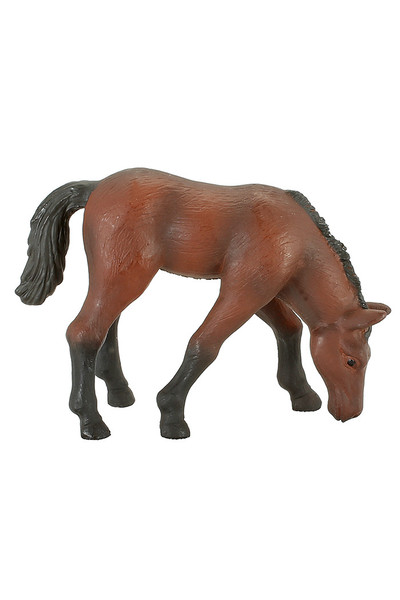 Arabian Foal (Small)